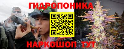 прущие крисы Кунгур