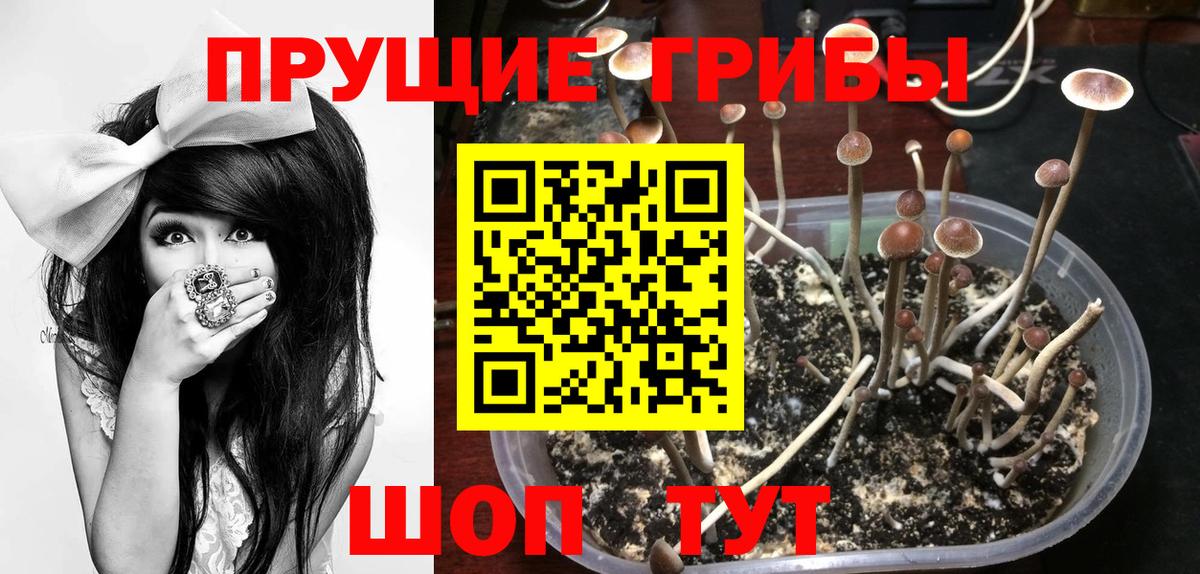 Галлюциногенные грибы ЛСД Каменск-Уральский
